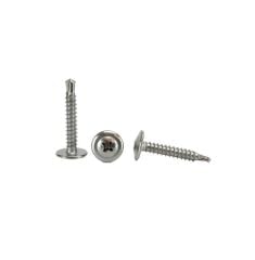 PUL BAŞLI (SDİNG) RYSB AKILLI VİDA 3,9X19 MM